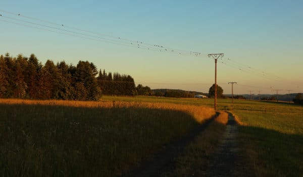 Private Power Poles